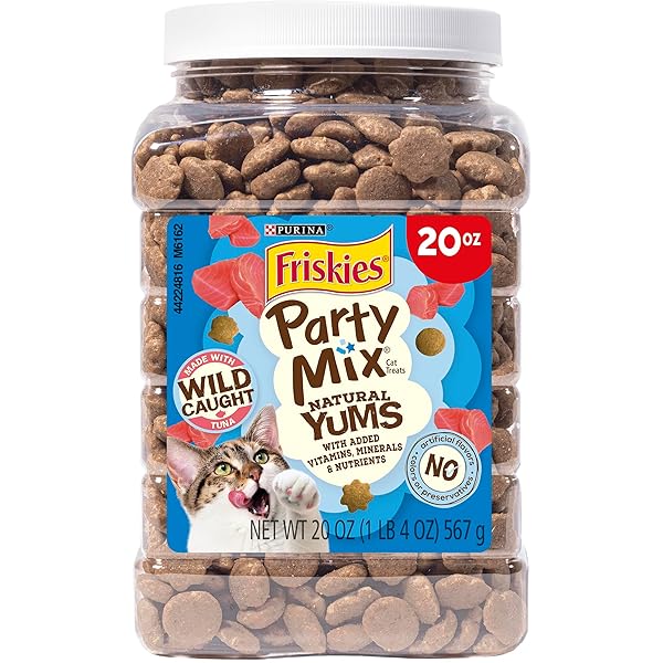 Amazon.com: Friskies Party Mix (2 Pack/20 Oz Net Wt 40 Oz) : Pet